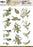 JEANINE ART 3D PUSH OUT VINTAGE BIRDS BIRDCAGE - SB10750