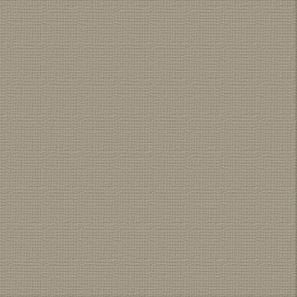 COUTURE CREATIONS-12X12 CARDSTOCK PKT 10- SILVER STAR - ULT200004